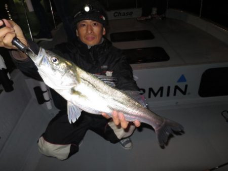 Chase(チェイス) 釣果