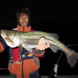 Chase(チェイス) 釣果