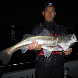 Chase(チェイス) 釣果