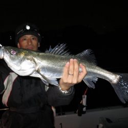 Chase(チェイス) 釣果