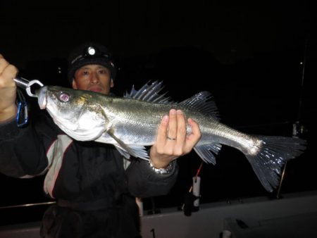 Chase(チェイス) 釣果