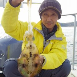 マリンガイド福丸 釣果