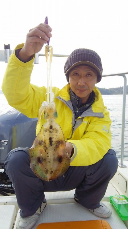 マリンガイド福丸 釣果