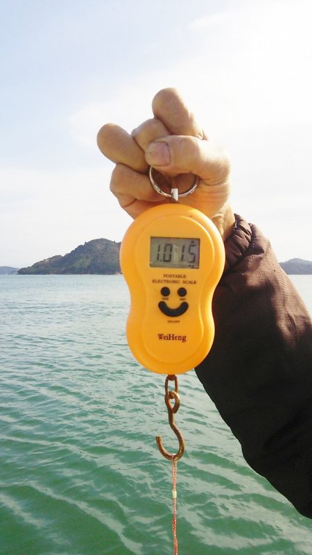 マリンガイド福丸 釣果