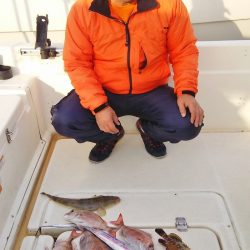 マリンガイド福丸 釣果