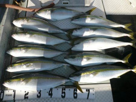 オーシャンスター(Ocean Star) …