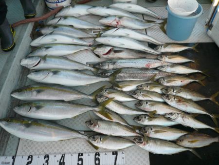 オーシャンスター(Ocean Star) …