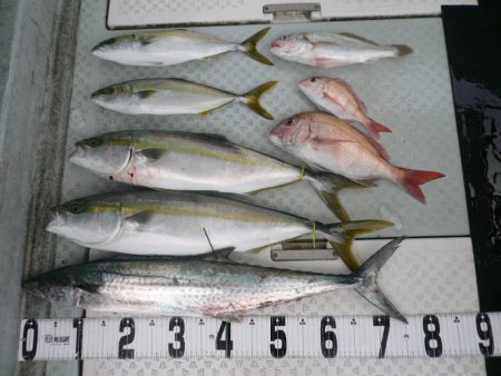 オーシャンスター(Ocean Star) …