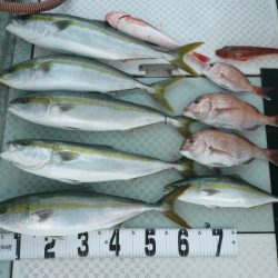 オーシャンスター(Ocean Star) 釣果