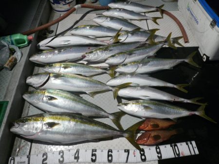 オーシャンスター(Ocean Star) …