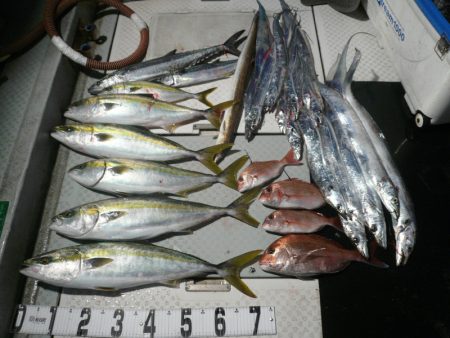 オーシャンスター(Ocean Star) …