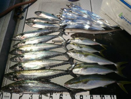 オーシャンスター(Ocean Star) …