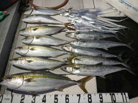 オーシャンスター(Ocean Star) …