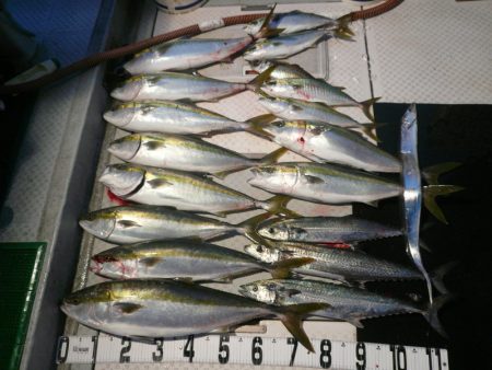 オーシャンスター(Ocean Star) …