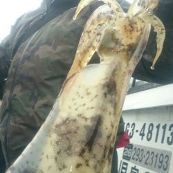 シースナイパー海龍 釣果