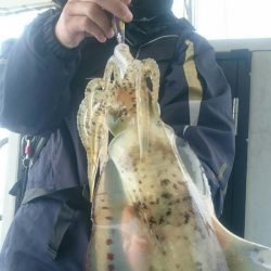 シースナイパー海龍 釣果