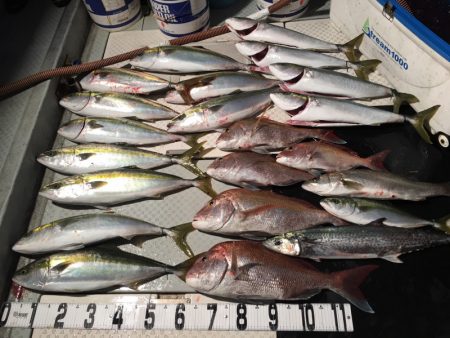 オーシャンスター(Ocean Star) …