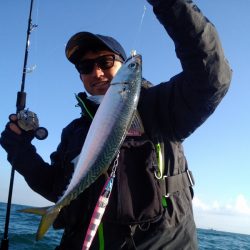 ひな丸 釣果