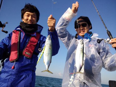 ひな丸 釣果