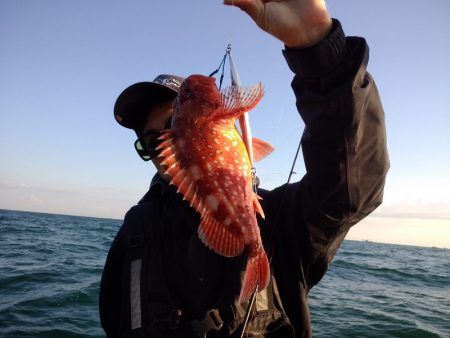 ひな丸 釣果
