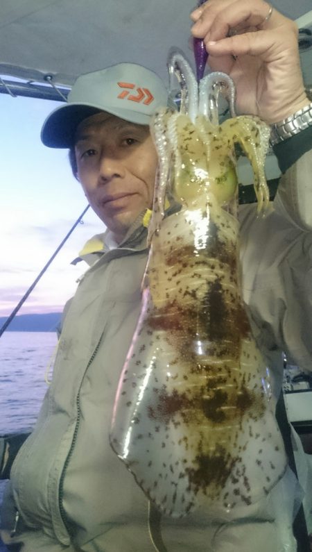 シースナイパー海龍 釣果