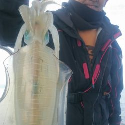 シースナイパー海龍 釣果