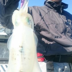 シースナイパー海龍 釣果