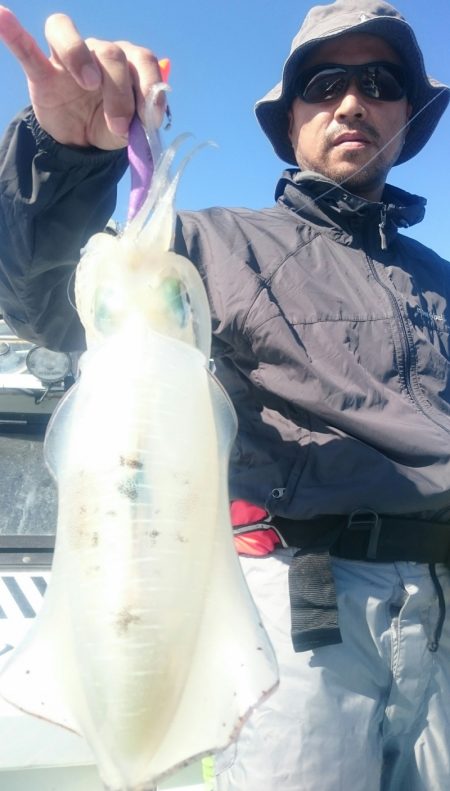 シースナイパー海龍 釣果