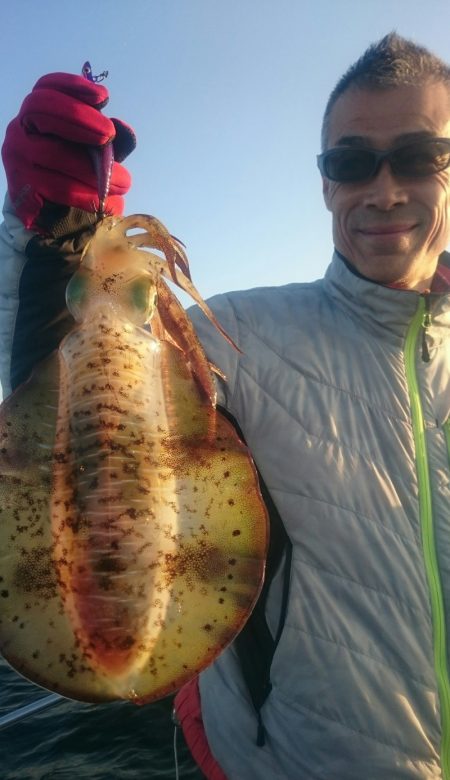 シースナイパー海龍 釣果