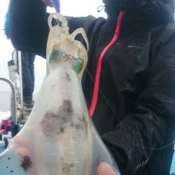 シースナイパー海龍 釣果