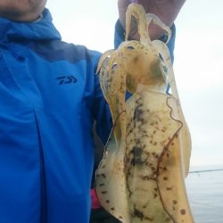 シースナイパー海龍 釣果