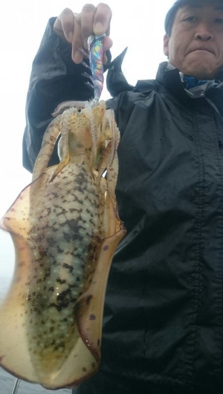 シースナイパー海龍 釣果