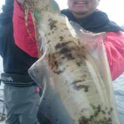 シースナイパー海龍 釣果