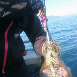 シースナイパー海龍 釣果