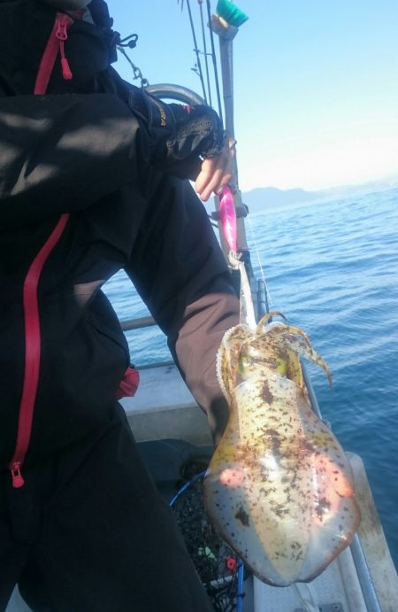 シースナイパー海龍 釣果