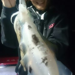 シースナイパー海龍 釣果