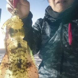 シースナイパー海龍 釣果