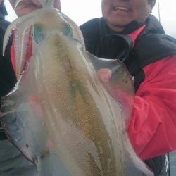 シースナイパー海龍 釣果