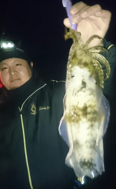 シースナイパー海龍 釣果