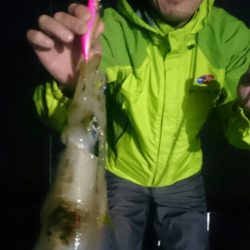 シースナイパー海龍 釣果