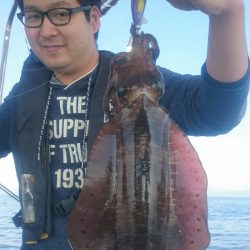 シースナイパー海龍 釣果