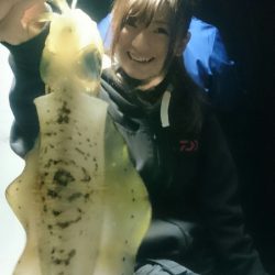 シースナイパー海龍 釣果