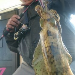 シースナイパー海龍 釣果