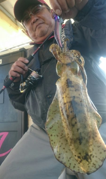 シースナイパー海龍 釣果