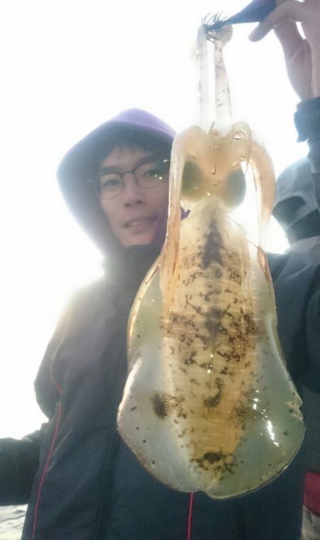 シースナイパー海龍 釣果