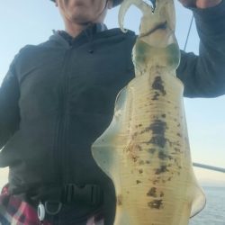 シースナイパー海龍 釣果