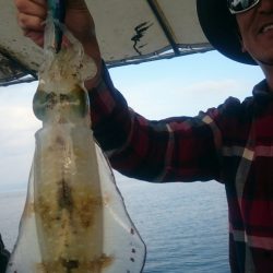 シースナイパー海龍 釣果