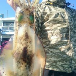 シースナイパー海龍 釣果