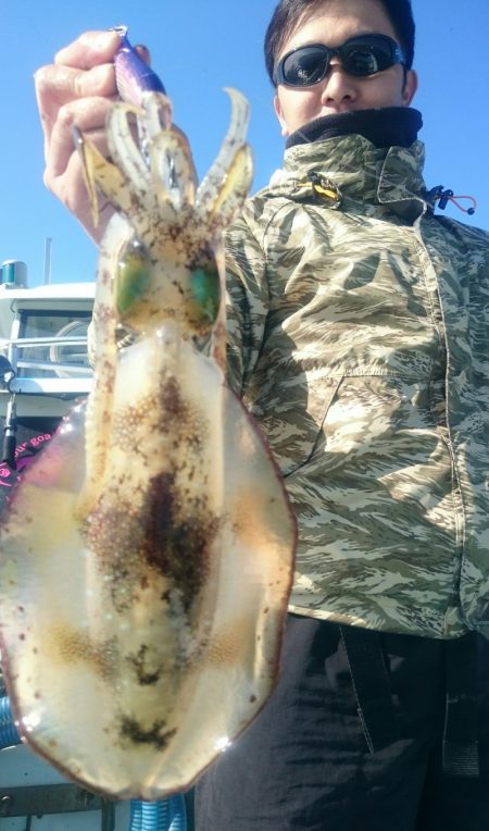 シースナイパー海龍 釣果