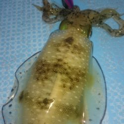 シースナイパー海龍 釣果